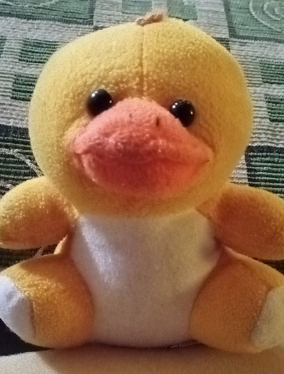 INI RAFLI tweet media