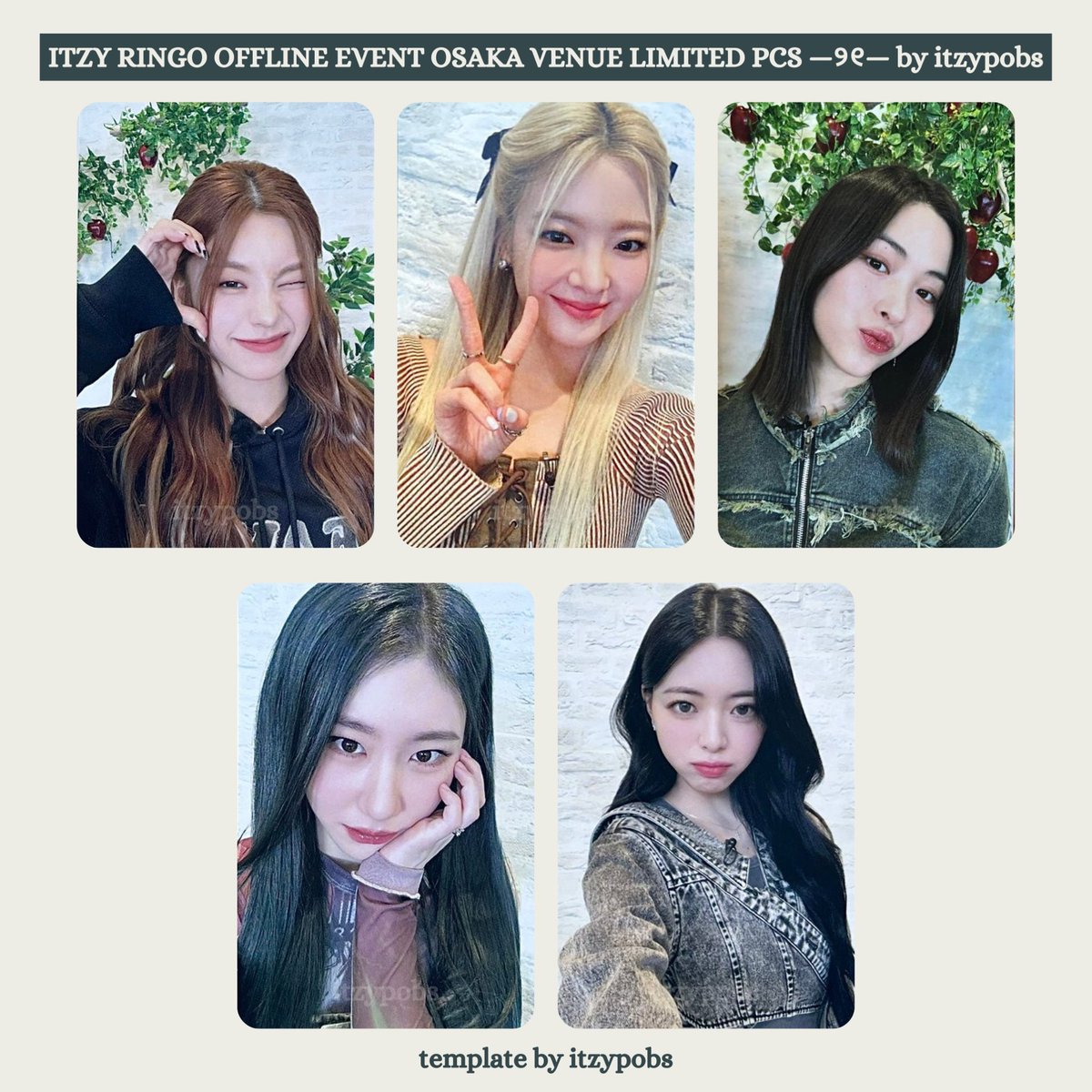 🍎 ITZY RINGO pobs / poca / pcs 있지 RINGO 포카 offline event