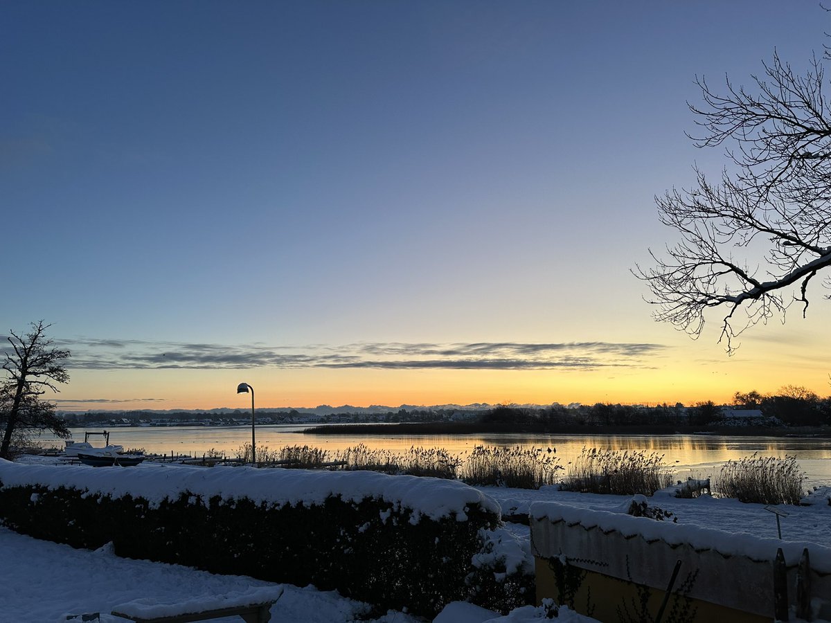 Søren Pedersen tweet media