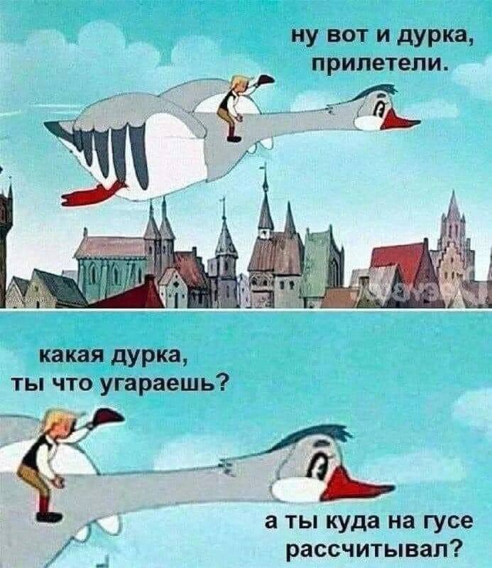Newestnik3's tweet photo. https://t.co/ma1texqcQm