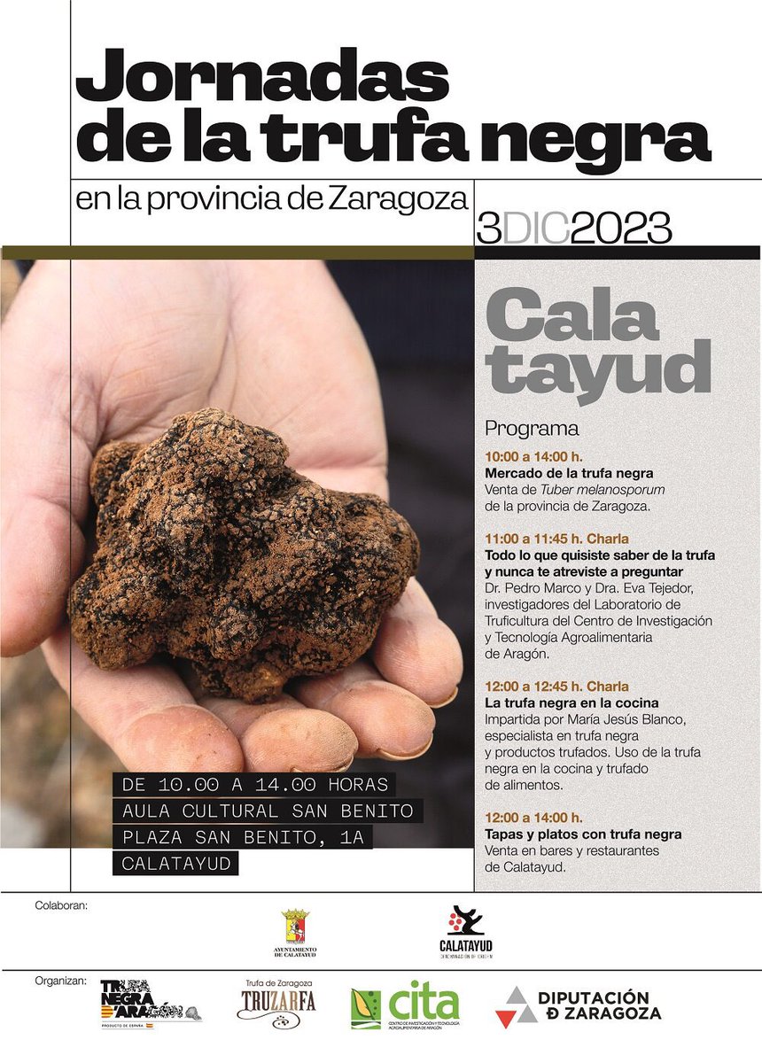 Hoy nos trasladamos hasta Calatayud para celebrar una nueva jornada de la trufa negra de la provincia de Zaragoza con productores de Aniñón y Vera de Moncayo. 

Organizado por @DPZaragoza y @CITAAragon y con la colaboración @AytoCalatayud @docalatayud @aragonalimentos