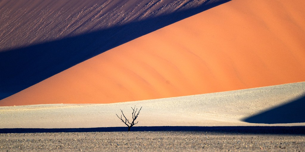 Nikon_SA's tweet photo. The Namib Desert is a place of stark and captivating contrasts, where the arid landscape meets the restless Atlantic Ocean. 

📸 Nikon : Z 9
Images by @kyleincpt

#NikonSA #LeadwithNikon #LeadwithKnowledge https://t.co/TARzJeC2Mw