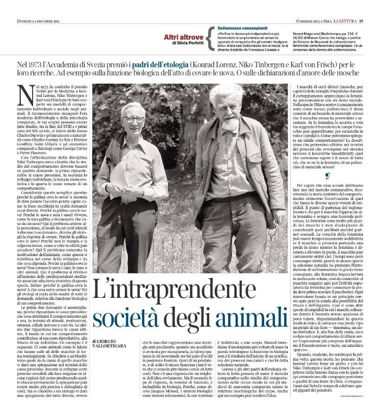 Giorgio Vallortigara tweet media