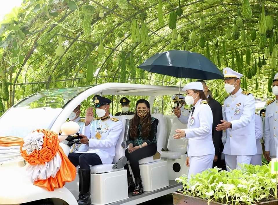 1st_SFDIV's tweet photo. สมเด็จพระเจ้าน้องนางเธอ เจ้าฟ้าจุฬาภรณวลัยลักษณ์ อัครราชกุมารี กรมพระศรีสวางควัฒน วรขัตติยราชนารี เสด็จไปทรงเปิดงาน "เกษตรกำแพงแสน ครั้งที่ 26 ประจำปี 2566" ณ มหาวิทยาลัยเกษตรศาสตร์
วิทยาเขตกำแพงแสน อ.กำแพงแสน จ.นครปฐม

#ทรงพระเจริญ
#สืบสานรักษาต่อยอด https://t.co/k3gvUnbd6y