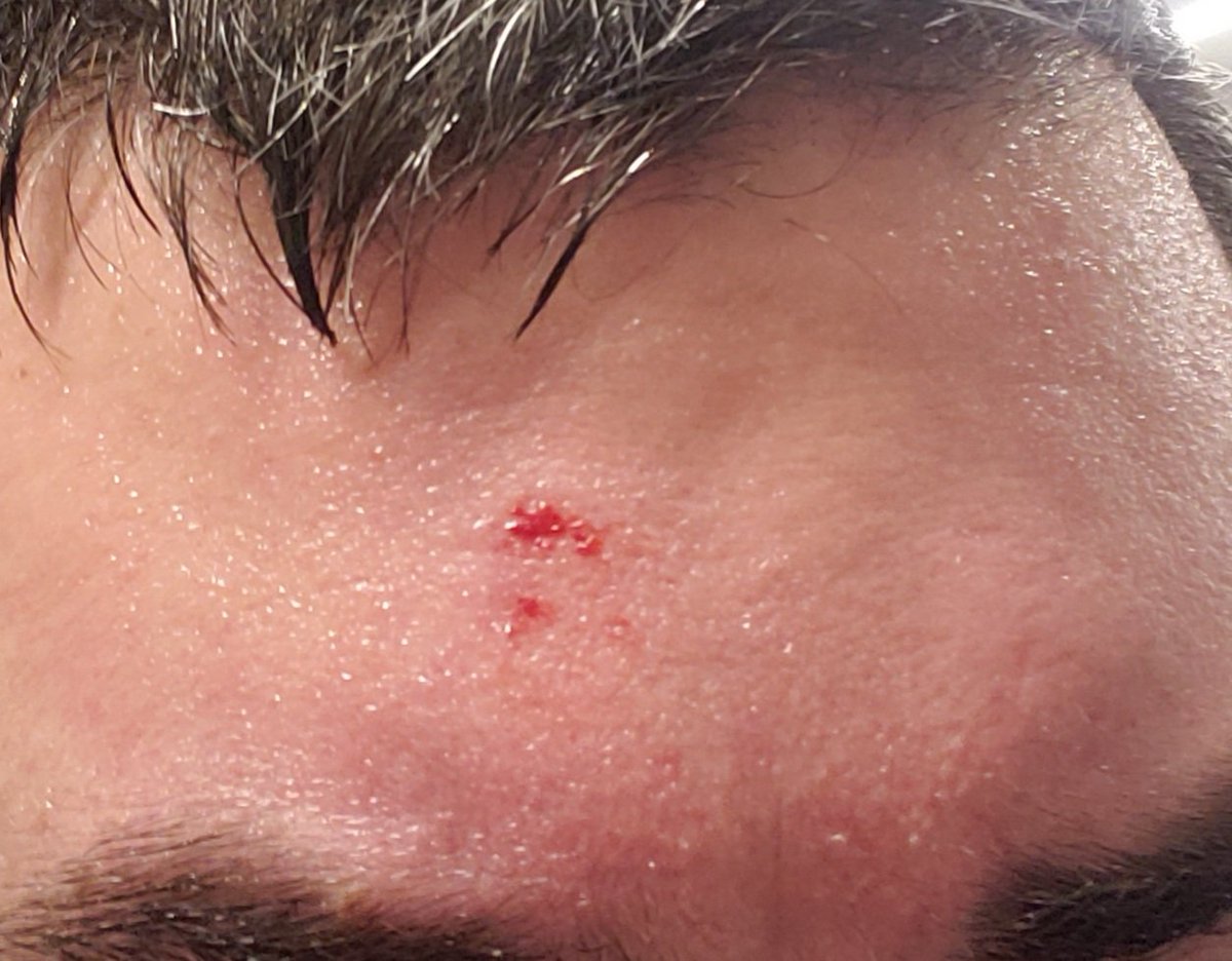 Frost Boss tweet media