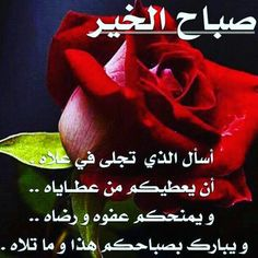 osama mohammed tweet media