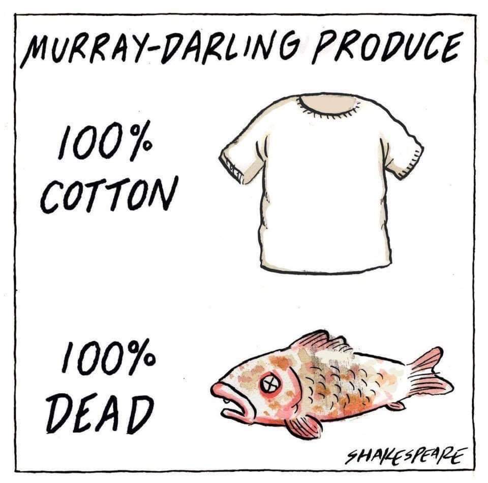 𝗧𝗼𝗺 𝗢𝘀𝗯𝗼𝗿𝗻 PhD, FRSA. tweet media