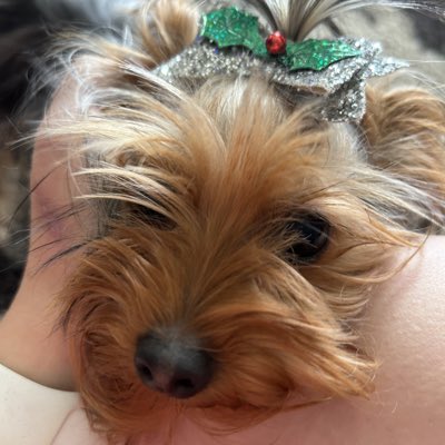 twatter6989's tweet photo. #NewProfilePic https://t.co/rmqpPrb0OF