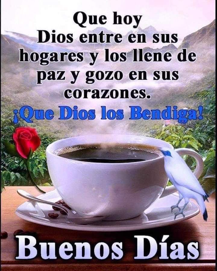 Excelente día