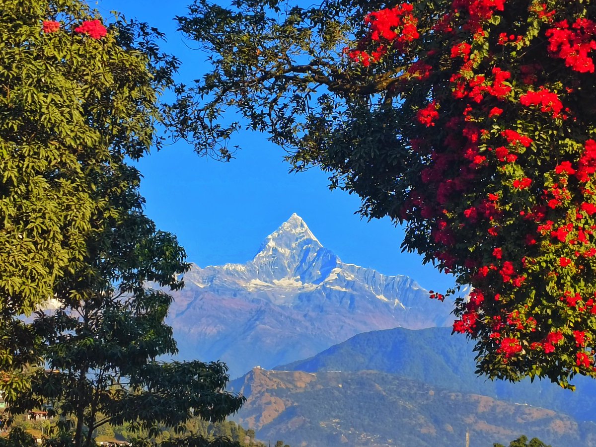 aneekarma's tweet photo. Oh Pokhara, your beauty is breathing! 🏔️❤️ https://t.co/oMYdyp4qTm