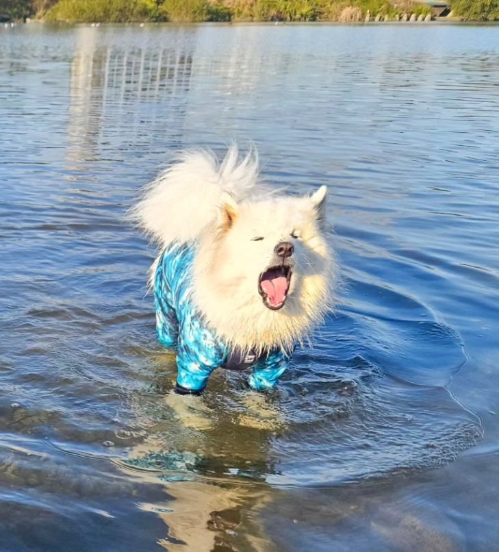 石投げてー！
まだまだ水遊び。