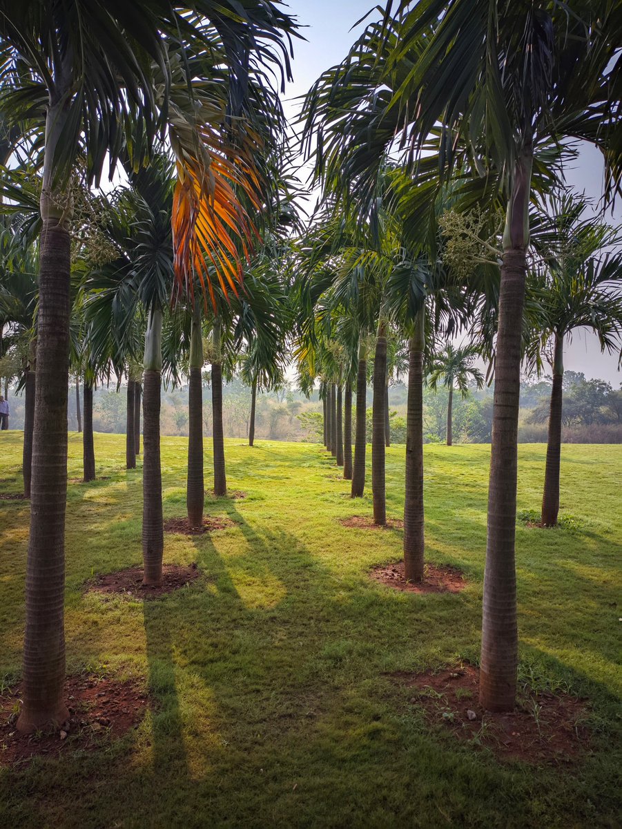 Morning Jogs are such a soothing experience. Good morning peeps #BeingFit #jogging