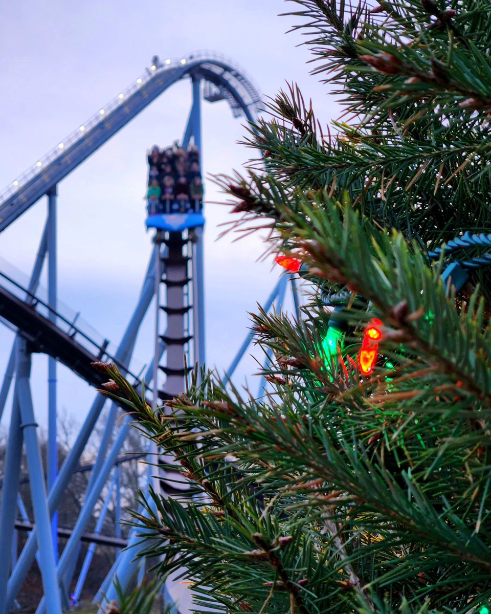 BmoreTom17's tweet photo. It's not Christmas season without a visit to Christmas Candylane @Hersheypark 🎅🏼🎢🎄 https://t.co/F6WOuARJhL