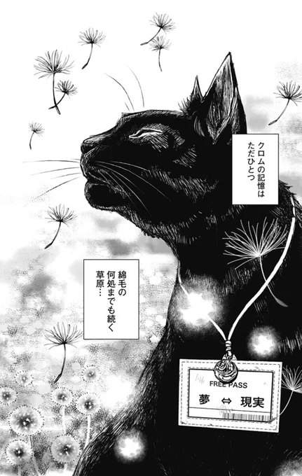 母親を探して人間の夢の中を渡り歩く猫の男の子の話【2/13】  #漫画が読めるハッシュタグ #エアコミティア