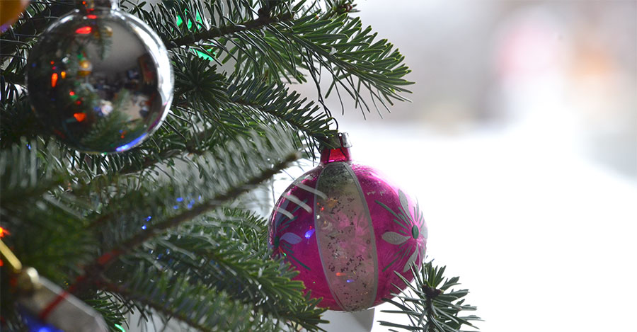 Speak4Trees2 (@speak4trees2) on Twitter photo NEWS RELEASE by Church of the Brethren highlights the W.Va. Christmas <a href="/USCapitolTree/">U.S. Capitol Christmas Tree</a>, contrasting it with the @ForestService #UpperCheatRiver Project to clearcut 3,500 acres of mature and #OldGrowth #forest in the Monongahela Nat. For. brethren.org/news/2023/let-… NEWS RELEASE by Church of the Brethren highlights the W.Va. Christmas <a href="/USCapitolTree/">U.S. Capitol Christmas Tree</a>, contrasting it with the @ForestService #UpperCheatRiver Project to clearcut 3,500 acres of mature and #OldGrowth #forest in the Monongahela Nat. For. brethren.org/news/2023/let-…