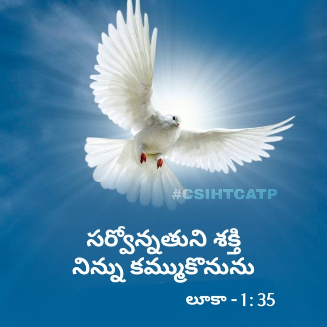 csihtmcatp's tweet photo. సర్వోన్నతుని శక్తి నిన్ను కమ్ముకొనును.
-లూకా సువార్త 1:35
.
.
The Holy Ghost shall come upon thee.
-Luke 1:35
.
.

#Csihtcatp #Csi #Csihtcmatp #anantapur #sundayblessings #sundayservices #morning #blessing #Atp #Anantapur #seek #Thanksgiving #Anantapuramu #sunday #sundaymornings https://t.co/9Yz3PtMutF
