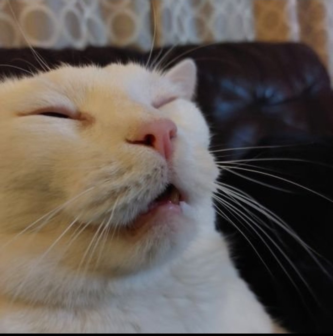 I  liked this pic as profile but i need an update