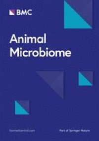 Effect of castration timing and weaning strategy on the taxonomic and functional profile of ruminal bacteria and archaea of beef calves dlvr.it/SzdJNB