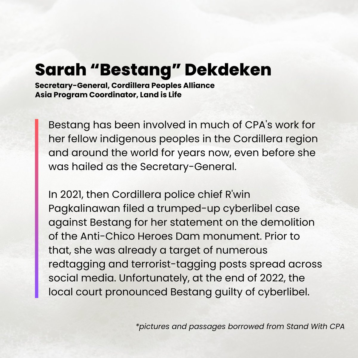 bai_women's tweet photo. Their stories illuminate the determination that Indigenous women uphold in the face of adversity.
Let us stand with them in their ongoing legal battles, and denounce all injustices committed against them!
#IDEVAW2023
#AbanteBabae
#StandWithCPA https://t.co/oMll9WNV19