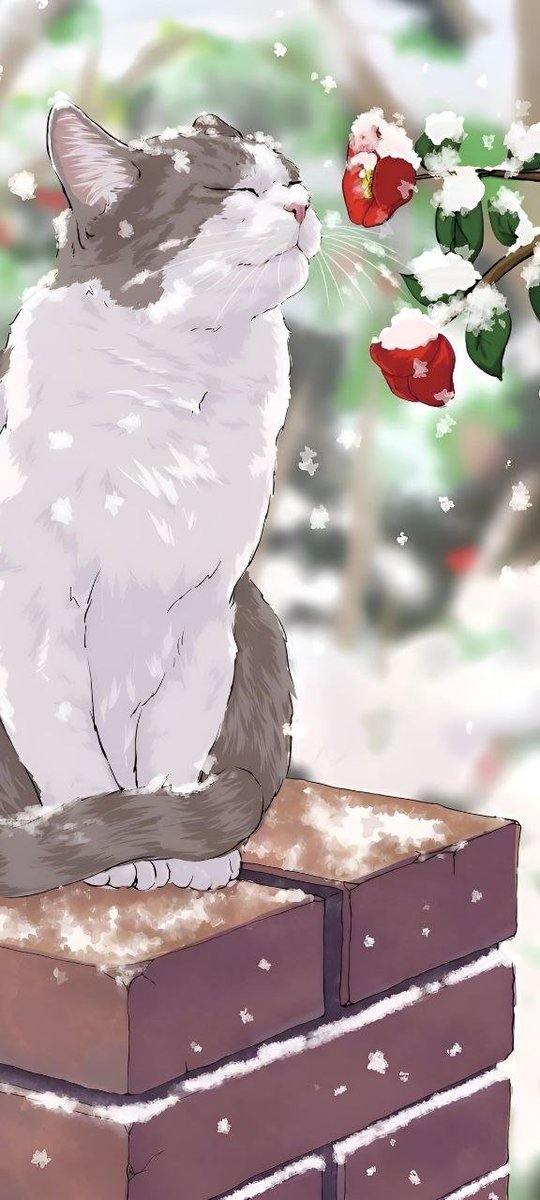 SARAREDQUEEN's tweet photo. @Portalcoin 
Winter is coming soon, but it won't be too hot for the portal👩‍🎨 https://t.co/SZawdV2EUA