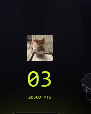 I was able to find
<a href="/Portalcoin/">Portal</a> 
City!