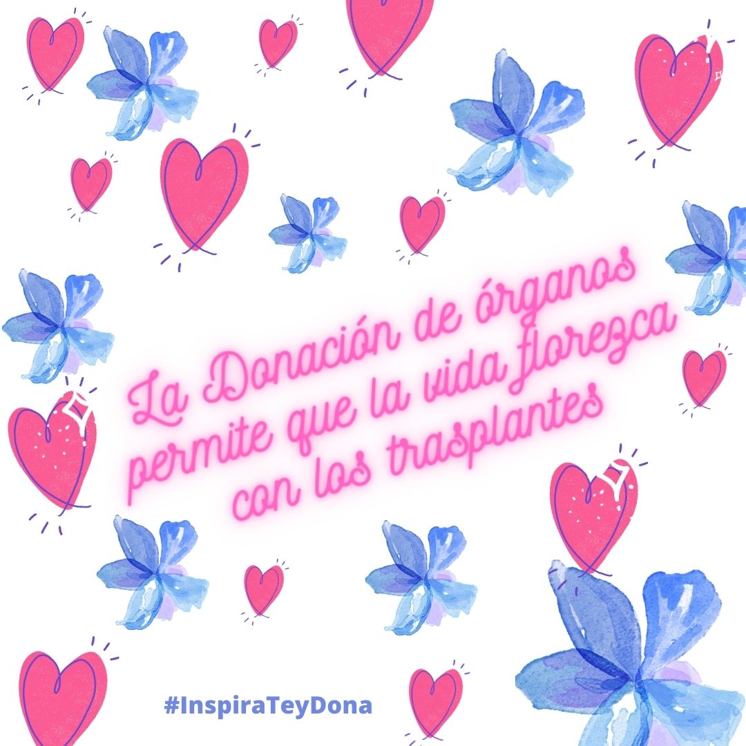 CoordHospDon's tweet photo. Seamos solidarios y empáticos con aquellos que esperan por un trasplante.
#HazteDonante y #regalavida
#IMSSNayarit #HGZ33 #organdonor #SeUnHeroe https://t.co/yf5de3acmk