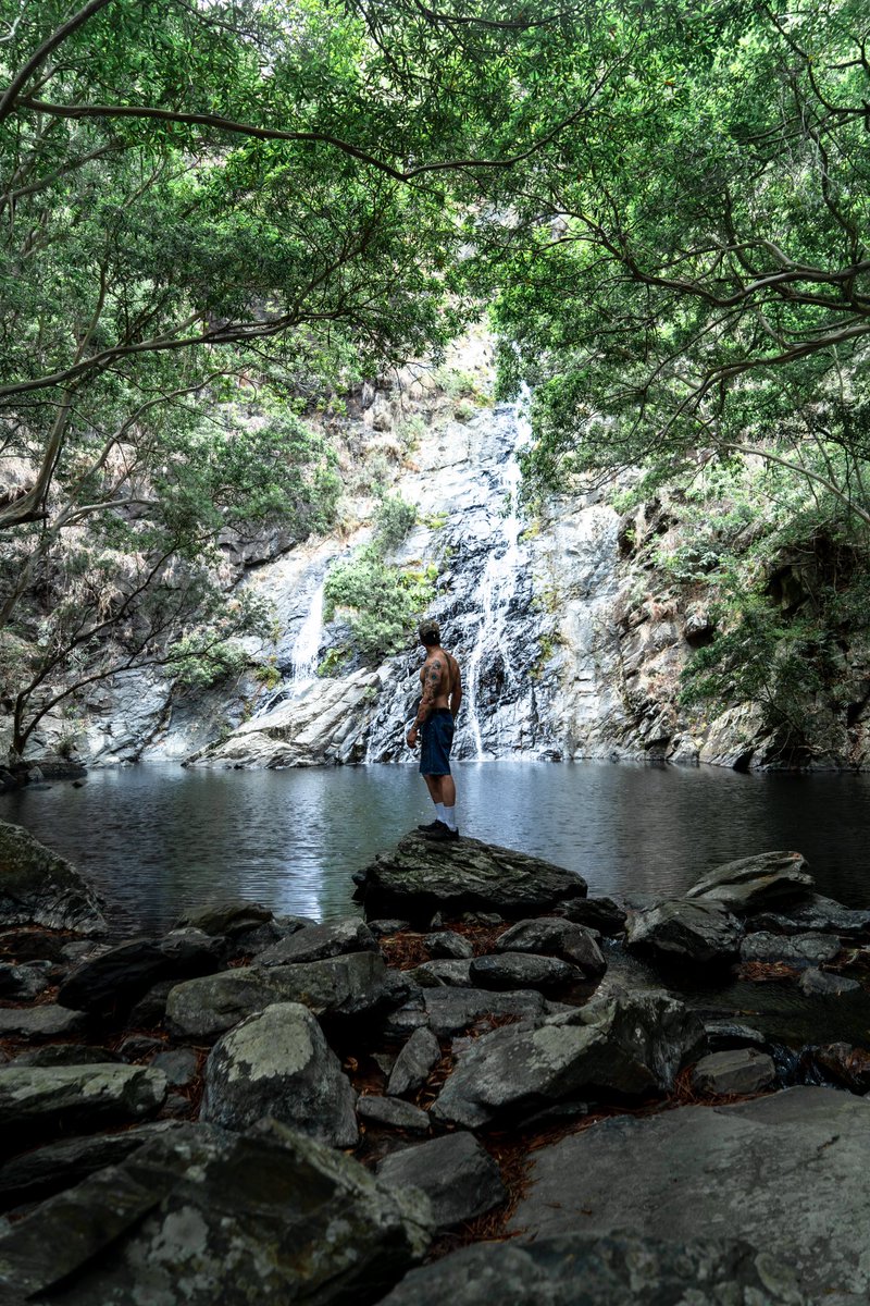 socialsssss tweet media