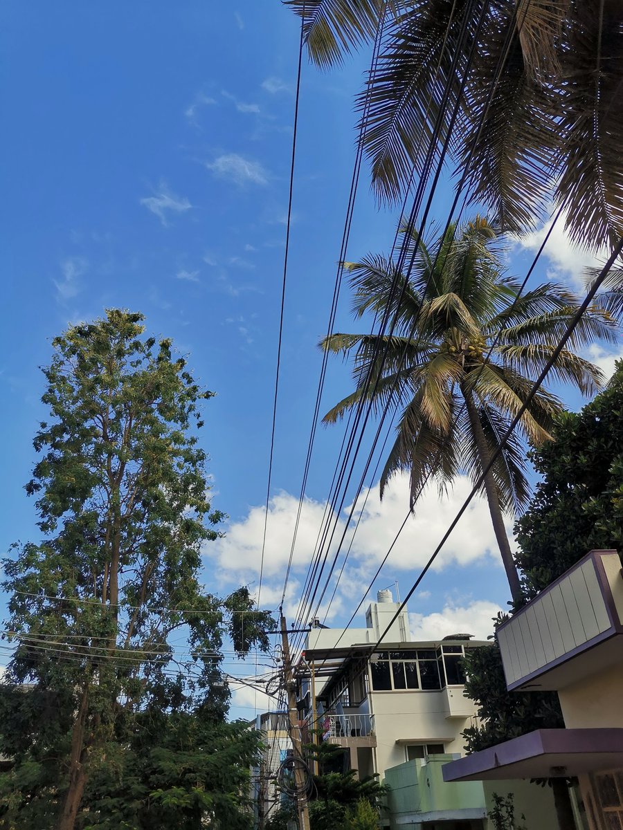 Chuats 💜💚 tweet media