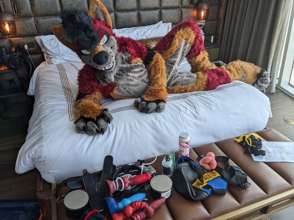 HoeBuck Coyote tweet media