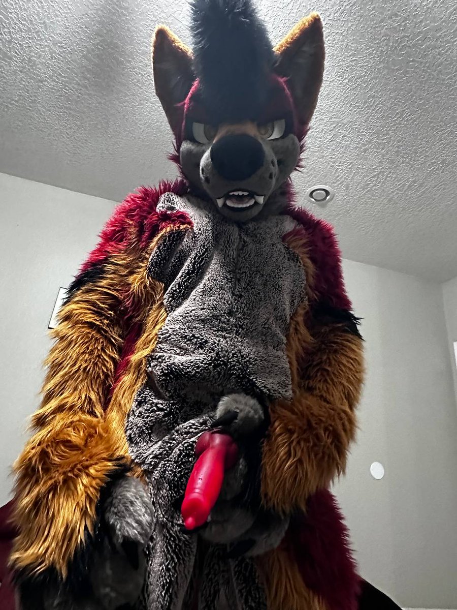 HoeBuck Coyote tweet media