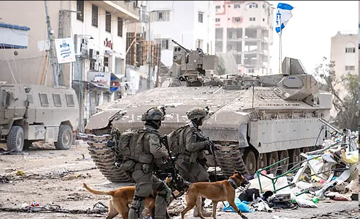 BATTLE VIDEO: The hero dogs of the IDF

IDF's canine unit saved IDF and Arab civilian lives by spotting Hamas terror traps, weapons caches hidden next to schools, in apartment buildings.

WATCH: newsil.page.link/Krbt9UPJSLtHft…

#IsraelFightsBack