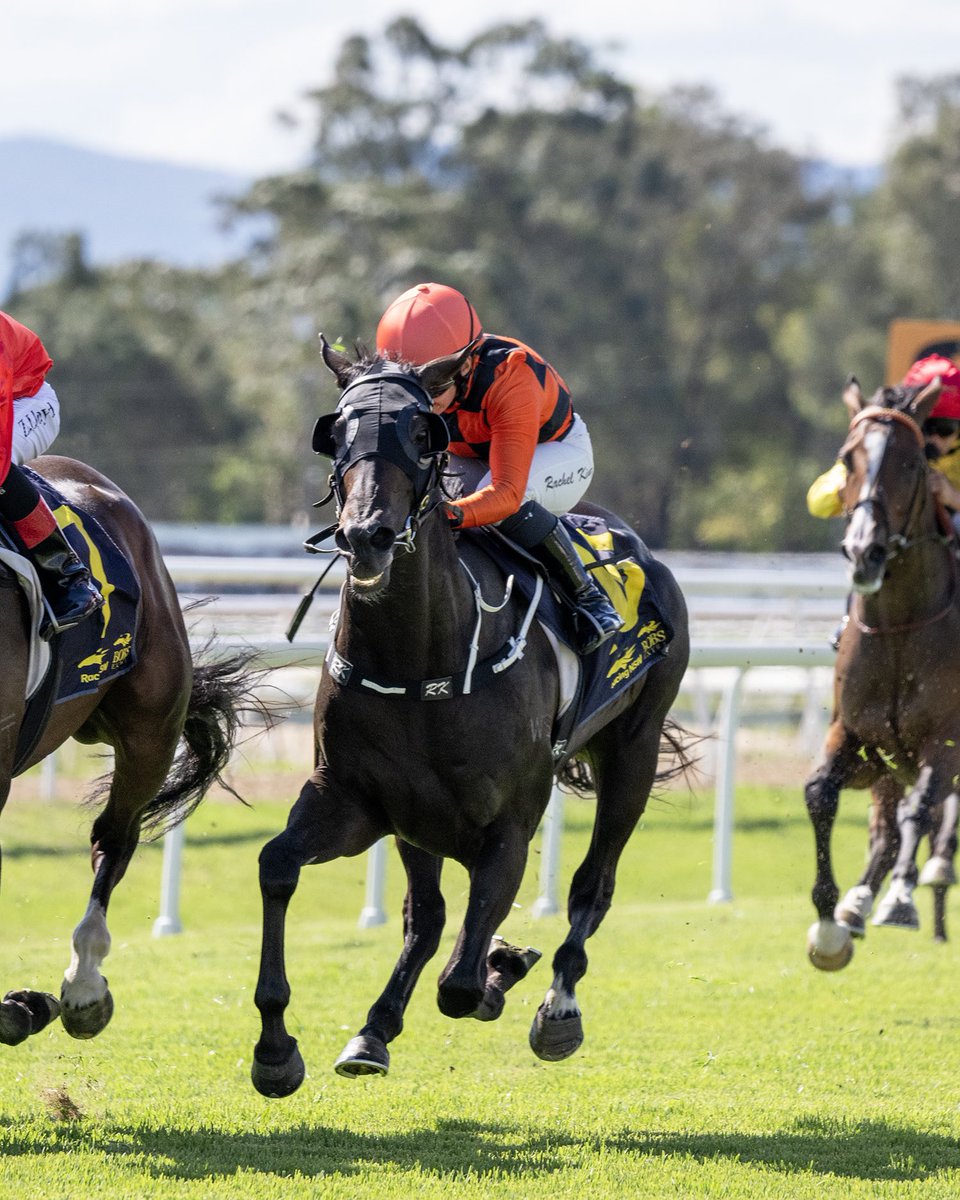 IMEZAAKI, a very progressive staying son of Ocean Park rounds them up with a last to first burst at @hawkesburyrc over 2000m steered by @RachelK11 Congratulations to the connections 👏 📸: @ashbrennanphoto