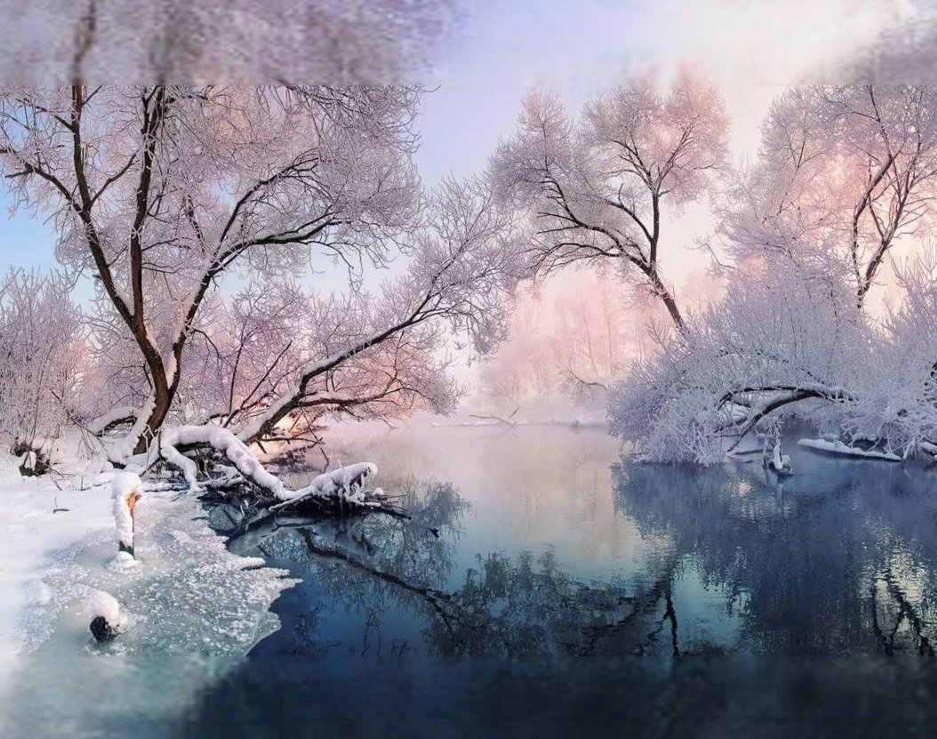 Auri  tweet media