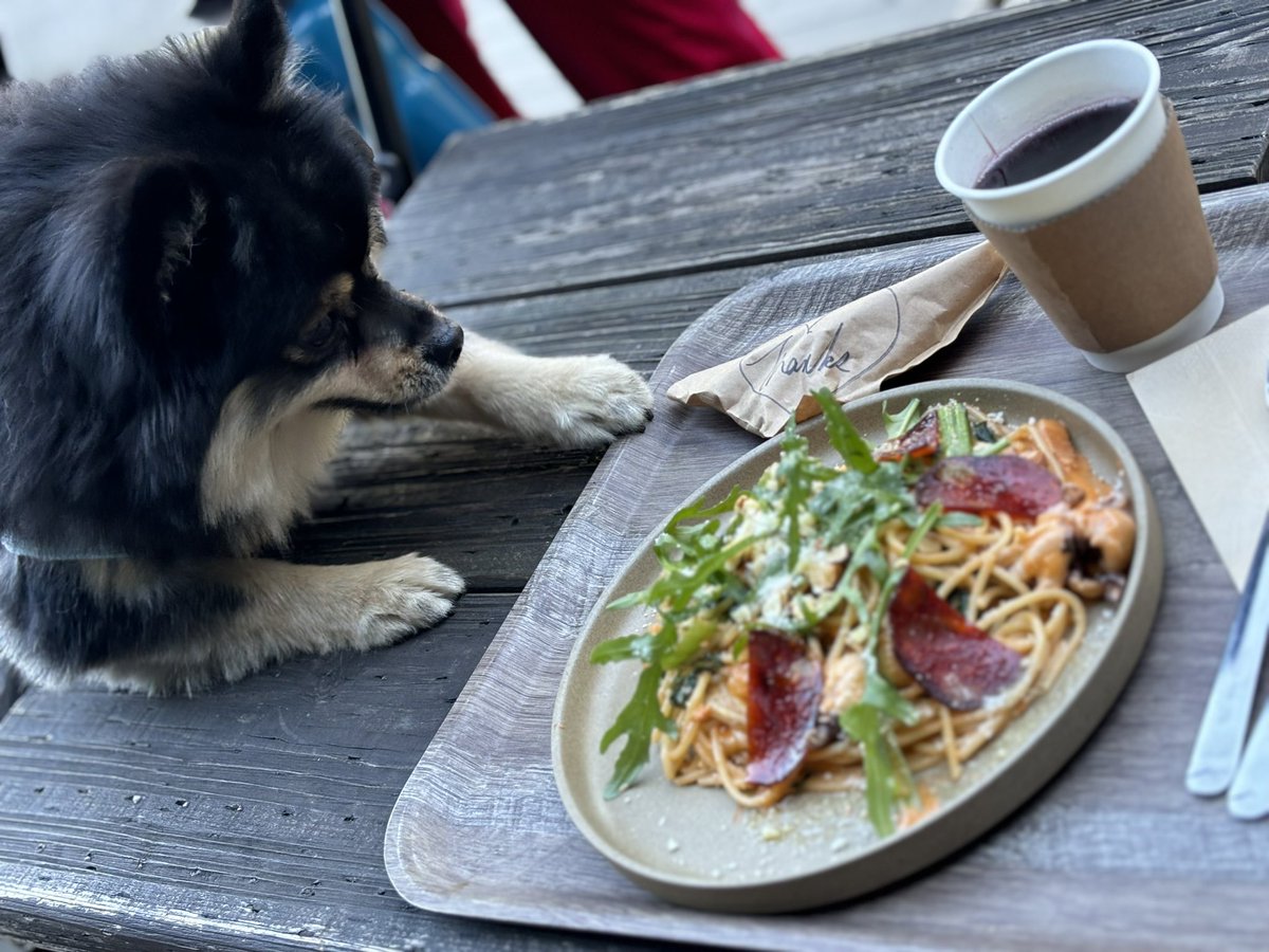 ドッグランに行きカフェでご飯！パスタ🍝が本当に本当に美味しくて驚きました！！ホットワインも最高です🍷
そして犬用ジャーキーは犬に好評です☺️
今度は違うパスタ食べます！！

#犬のいる暮らし 
#稲毛海浜公園
#smallplanet