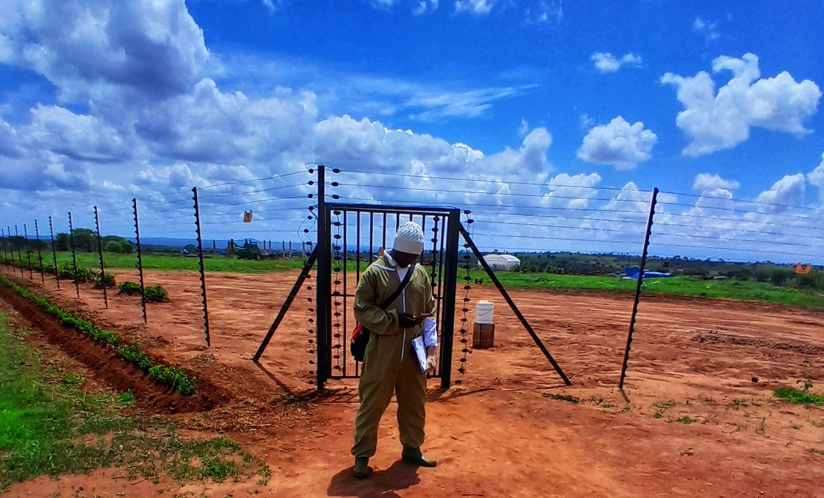 asali_tz's tweet photo. THE SURVEY AIM FOR  ESTABLISHMENT OF APIARY FARM OF 500BEEHIVES FOR POLLINATION SERVICES OF HORTICULTURE CROPS  &amp;OTHER FOOD CROPS ALSO PRODUCTION OF HONEY OTHER CORE BEES PRODUCTS IN ORDER TO INCREASE YIELD OF PRODUCTION. https://t.co/x4LEiGJQZy