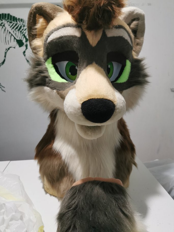 So In about 6 hours I’ll be picking up my boy. This has been a long wait but the end result was totally worth it. I didn’t sleep much last night and lunchtime can’t come quickly enough. From the bottom of my heart, Thank you to @CCDinoFursuits for all your hard work. #furry