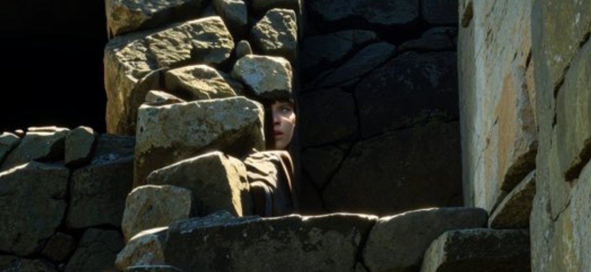 wise_goat tweet media