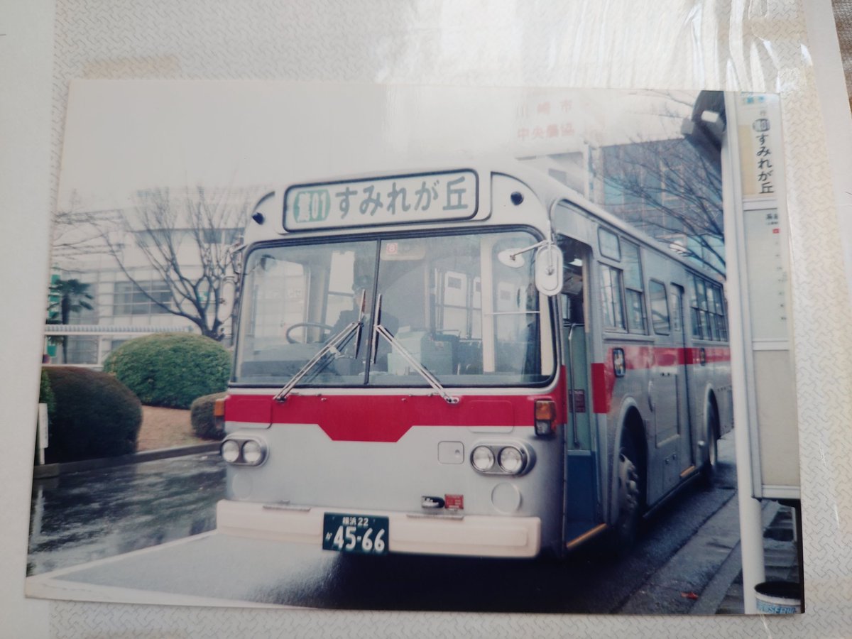 道楽交通自動車 tweet media