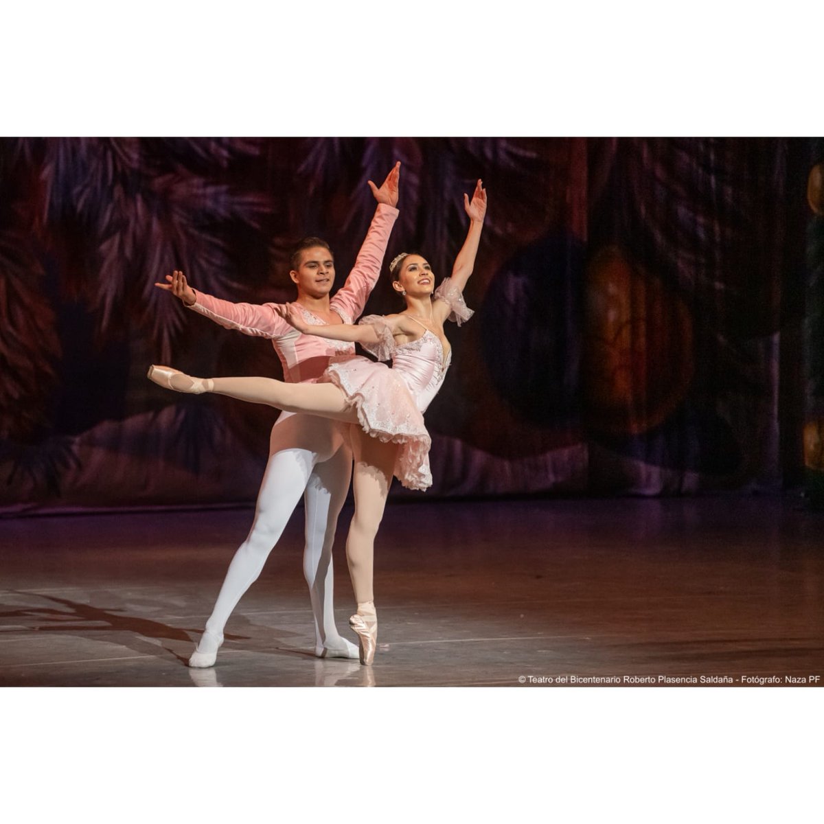 TeatrodelB's tweet photo. Agradecemos a nuestro público que nos acompañó esta noche a la segunda función de "El Cascanueces" del @Ballet_de_Mty

Esperamos hayan disfrutado la función. https://t.co/aNE8o1LeDH