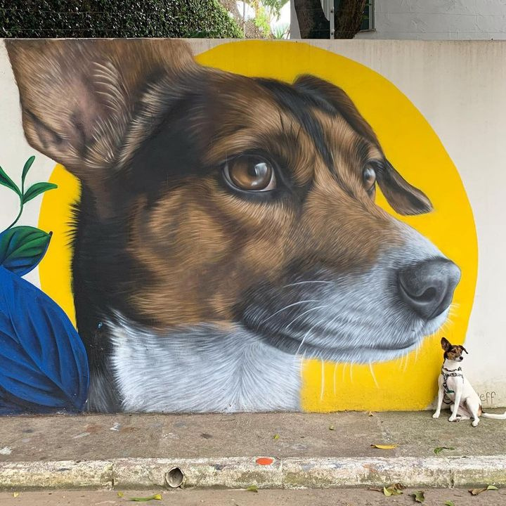A tribute to my Olivia, partner of my life 💙 ❤ By Clara Leff São Paulo, Brazil.
v/ @STREETARTUTOPIA 
#Art #StreetArt #UrbanArt 🎨🖌