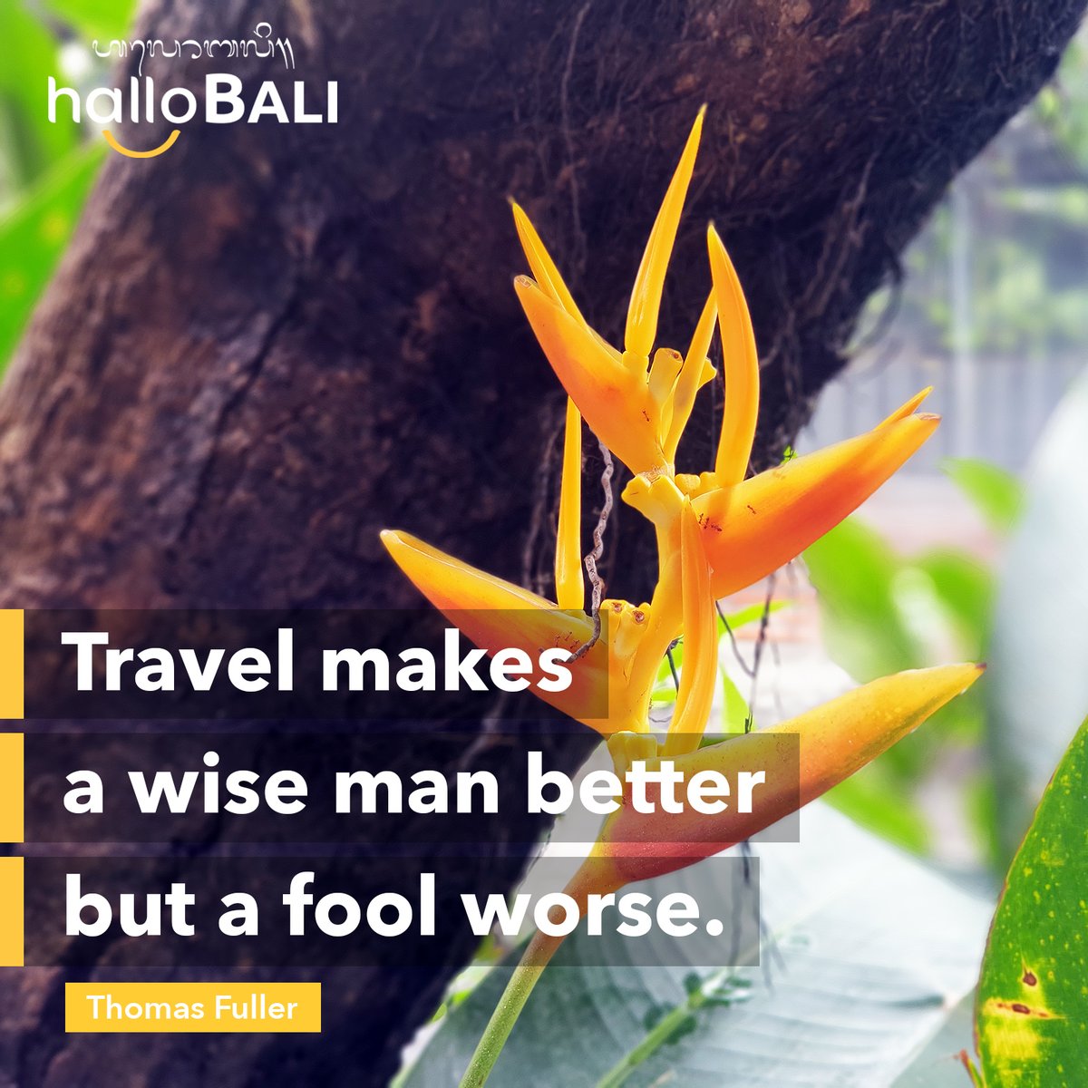 Travel makes a wise man better, but a fool worse. Ready for wisdom? Bali awaits! Explore the best tropical paradise with HalloBALI, your key to an unforgettable journey.
#Bali #Travel #Tour #BaliTravel #BaliTour #BaliTourPackage #TravelQuote #QuoteOfTheDay #HalloBALI