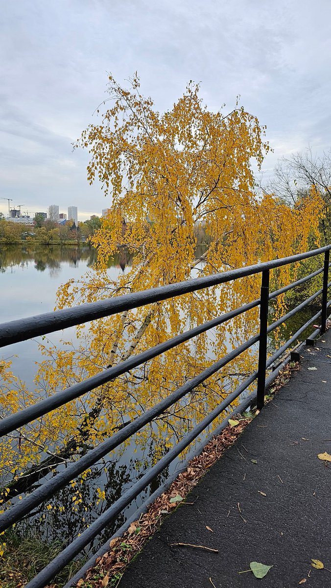 Осень в Измайловском кремле. 
Октябрь 2023 г.