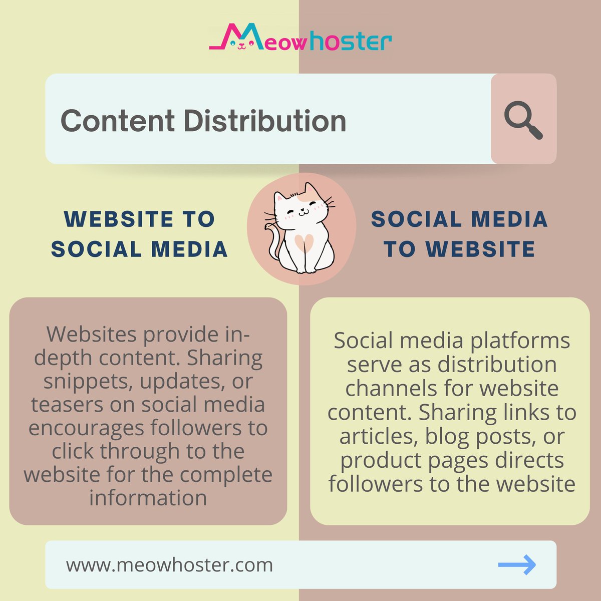 Meowhoster2023's tweet photo. Maximize your online impact! Discover how blending websites with social media boosts engagement and drives digital success with https://t.co/lY8eJzeS9d https://t.co/aYNeFTwmOF