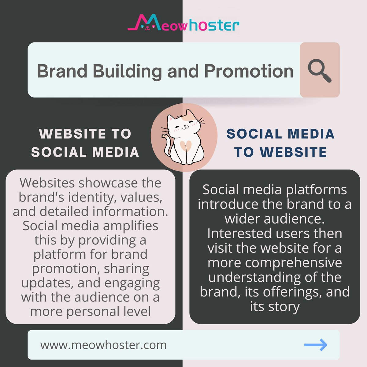 Meowhoster2023's tweet photo. Maximize your online impact! Discover how blending websites with social media boosts engagement and drives digital success with https://t.co/lY8eJzeS9d https://t.co/aYNeFTwmOF
