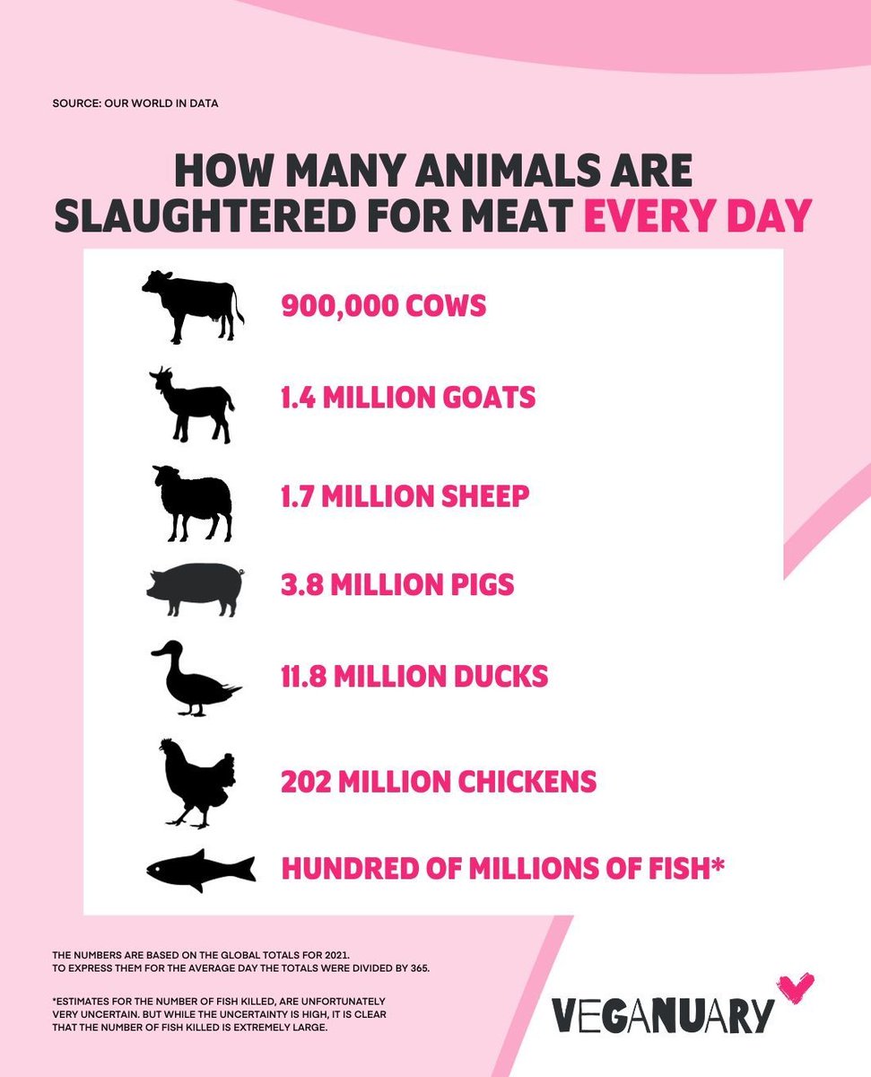 these numbers are truly disgusting 😢 every 👏🏻 single 👏🏻 person 👏🏻can👏🏻reduce👏🏻their👏🏻 meat 👏🏻intake👏🏻 no one needs meat to live, &amp; the very vast majority of people can go vegan - yet if everyone stopped eating meat we'd all be that much closer to a vegan world! #veganism