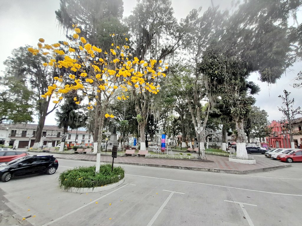 Dario Hidalgo Guerrero 🇨🇴 tweet media