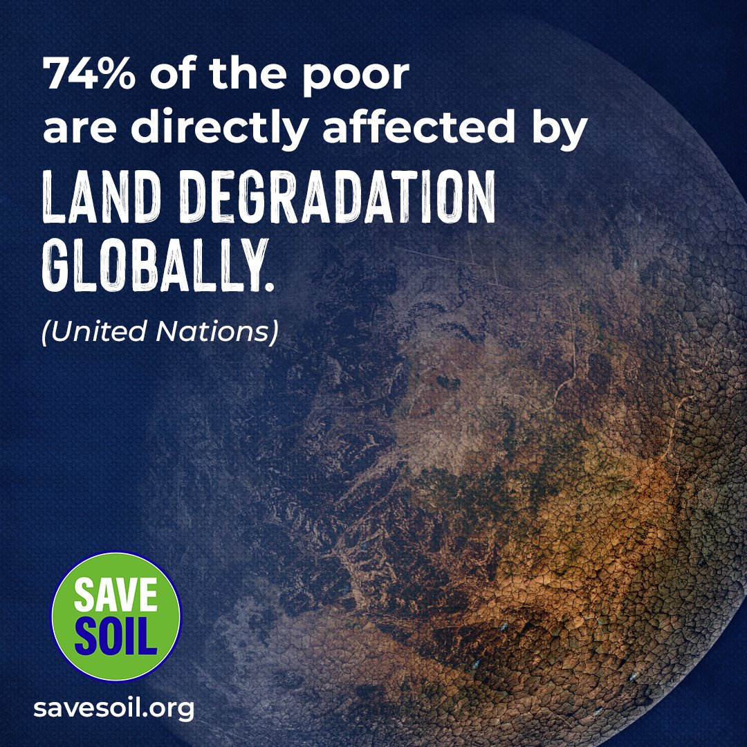 RishisPM's tweet photo. With over 12 million hectares of topsoil lost annually, it's time to reverse this
trend. Let's raise our voice at #COP28UAE .#SoilforClimateAction #SaveSoil #COP28 #ConsciousPlanet @COP28_UAE  @cpsavesoil @SadhguruJV https://t.co/Bg1WKsbTC5
