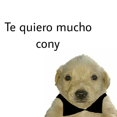dis0ci4daa's tweet photo. @ConyCapelli @fleisss https://t.co/nQ4KFXm96n