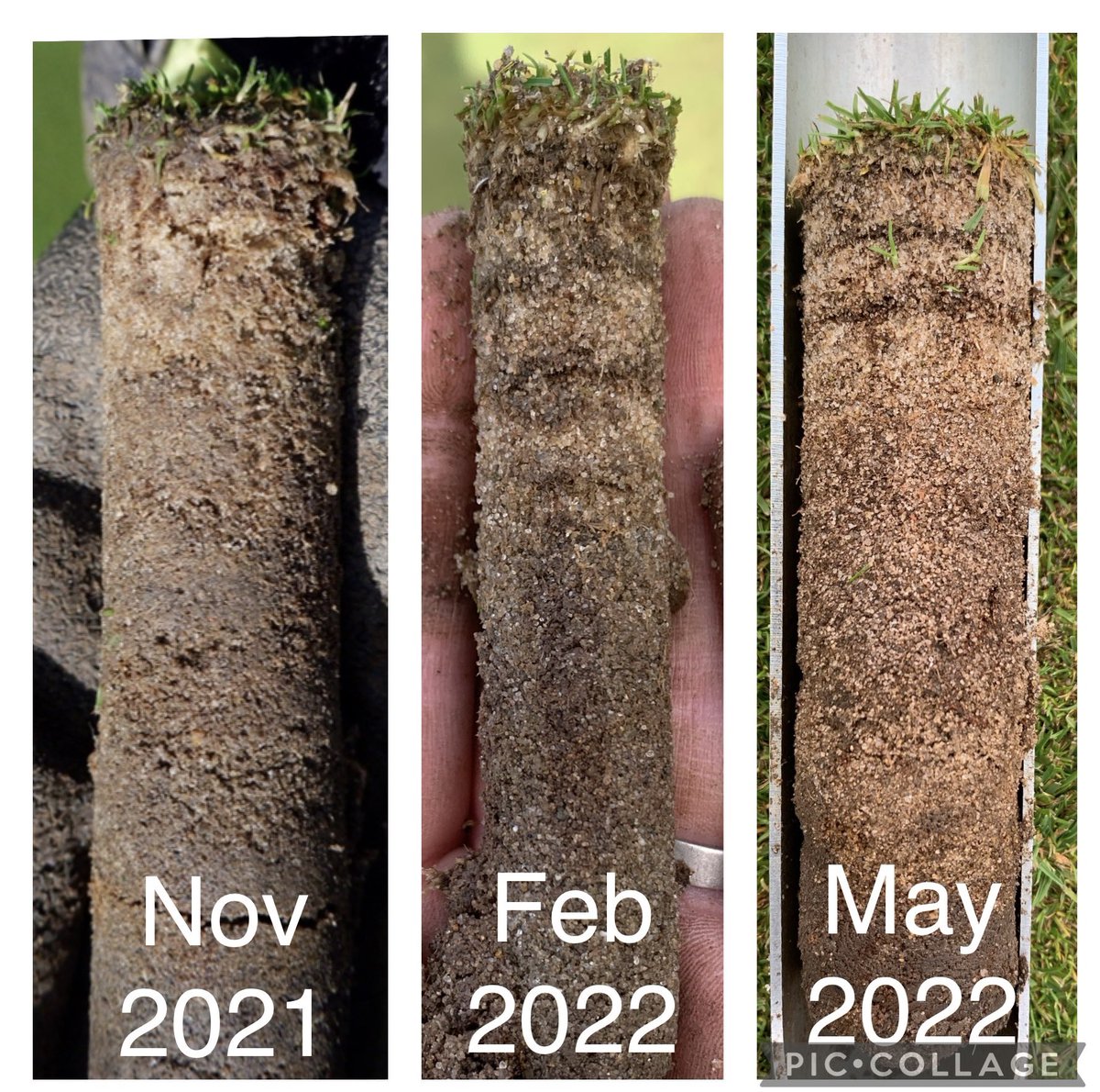 Soil Biology Ltd tweet media