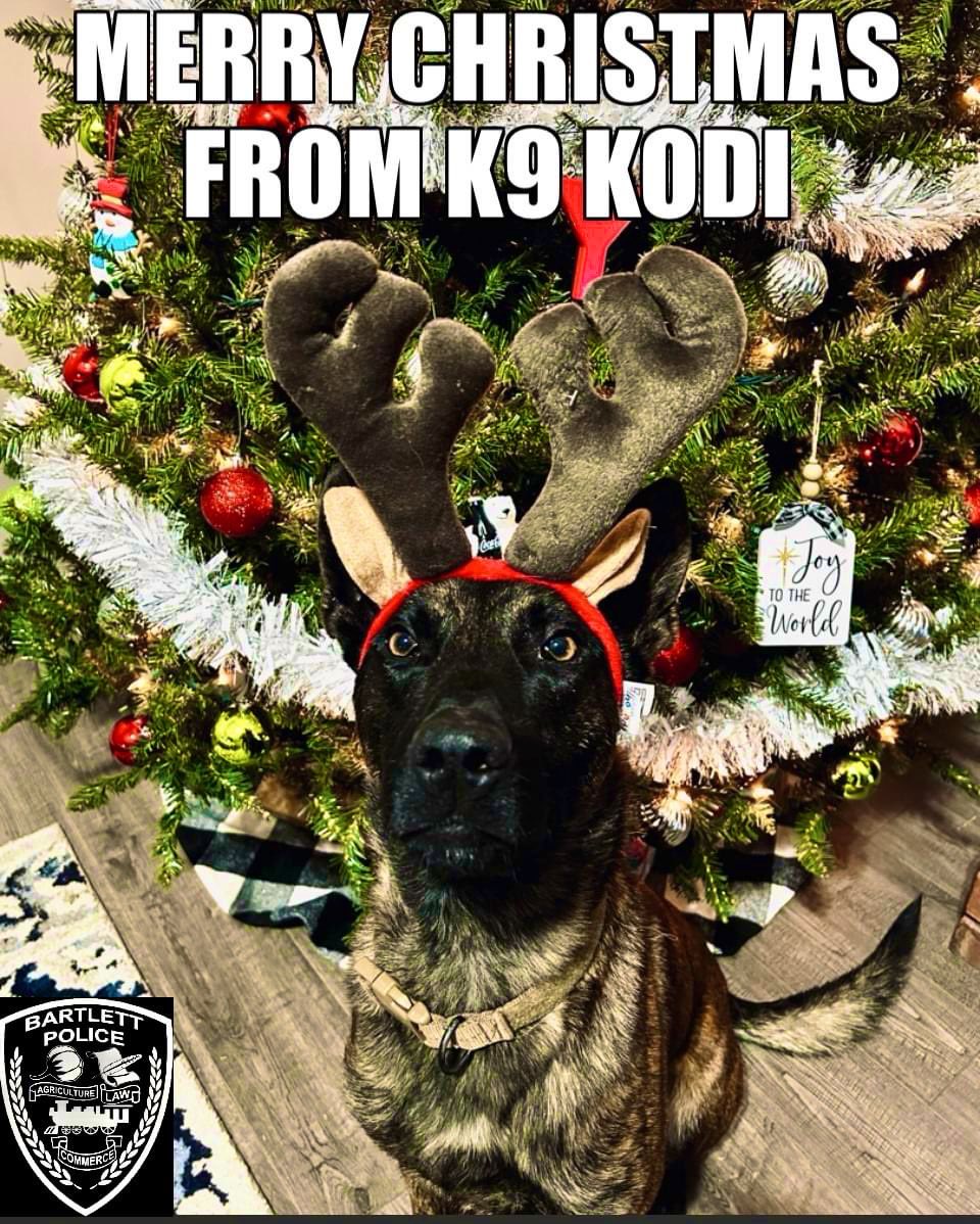 OPNATIONFan's tweet image. A Merry Christmas🎅🏻from #K9 #Kodi from 
the @BARTLETTPOLICE‼️🌲🎁

#BluePawsMatter 🐾